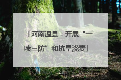 河南温县：开展“一喷三防”和抗旱浇麦
