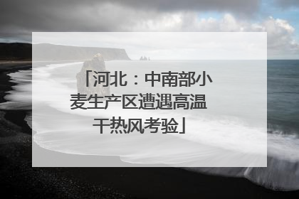 河北：中南部小麦生产区遭遇高温干热风考验