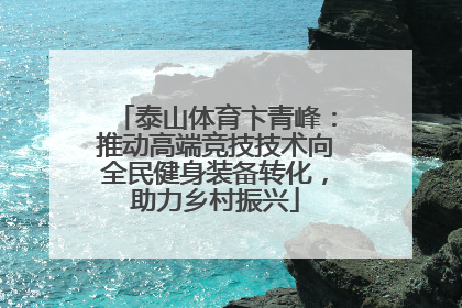 泰山体育卞青峰：推动高端竞技技术向全民健身装备转化，助力乡村振兴
