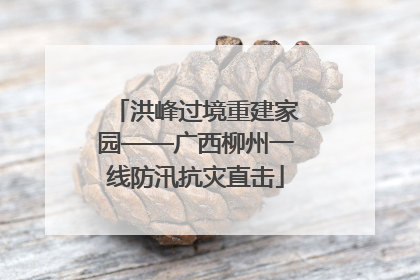 洪峰过境重建家园——广西柳州一线防汛抗灾直击