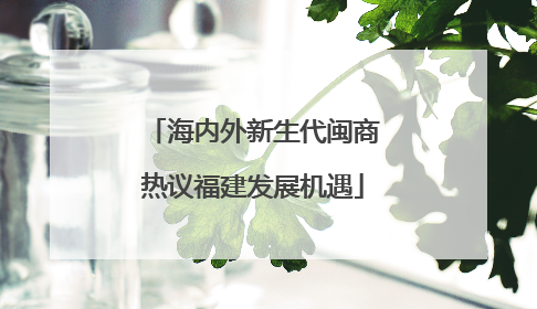 海内外新生代闽商热议福建发展机遇