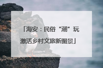 海安：民俗“潮”玩激活乡村文旅新图景