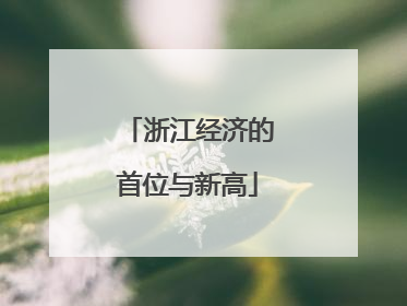 浙江经济的首位与新高