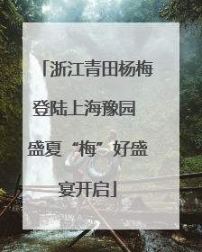浙江青田杨梅登陆上海豫园 盛夏“梅”好盛宴开启