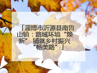 淄博市沂源县南鲁山镇：路域环境“焕新” 铺就乡村振兴“畅美路”