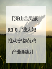 深山金凤振翅飞，钱大妈推动宁都黄鸡产业崛起