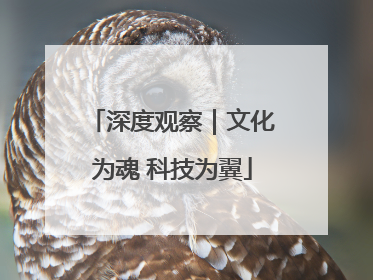 深度观察｜文化为魂 科技为翼