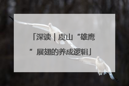 深读｜虞山“雄鹰”展翅的养成逻辑