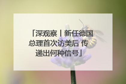 深观察丨新任德国总理首次访美后 传递出何种信号