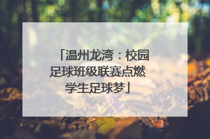 温州龙湾：校园足球班级联赛点燃学生足球梦