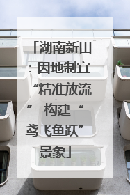 湖南新田：因地制宜“精准放流” 构建“鸢飞鱼跃”景象