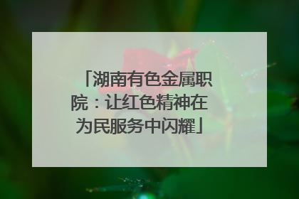 湖南有色金属职院：让红色精神在为民服务中闪耀