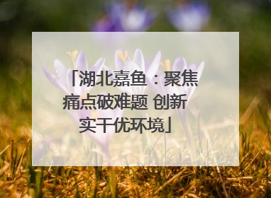 湖北嘉鱼：聚焦痛点破难题 创新实干优环境