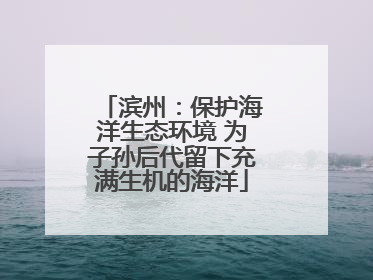 滨州：保护海洋生态环境 为子孙后代留下充满生机的海洋