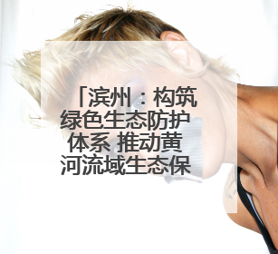 滨州：构筑绿色生态防护体系 推动黄河流域生态保护和高质量发展