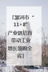 漯河市“11+8”产业链培育 带动工业增长领跑全省