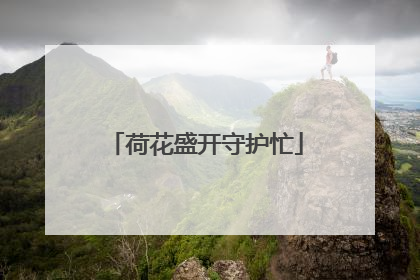 荷花盛开守护忙