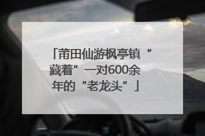 莆田仙游枫亭镇“藏着”一对600余年的“老龙头”