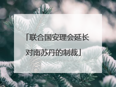 联合国安理会延长对南苏丹的制裁