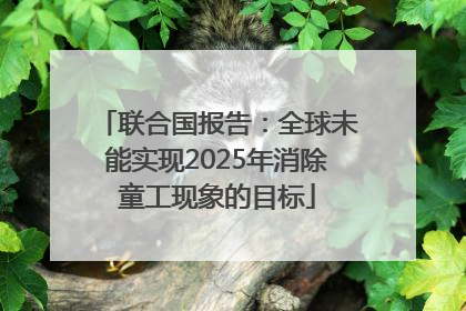 联合国报告：全球未能实现2025年消除童工现象的目标