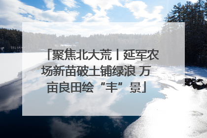 聚焦北大荒丨延军农场新苗破土铺绿浪 万亩良田绘“丰”景
