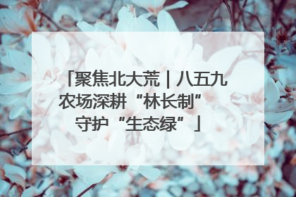 聚焦北大荒｜八五九农场深耕“林长制” 守护“生态绿”