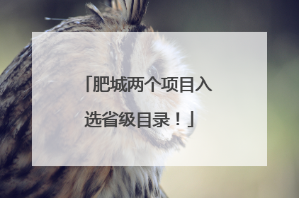 肥城两个项目入选省级目录！