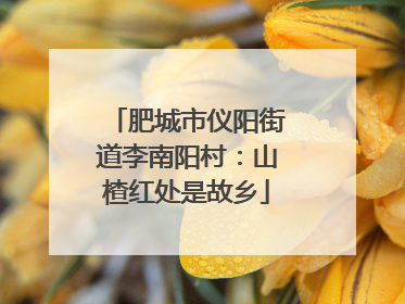 肥城市仪阳街道李南阳村：山楂红处是故乡