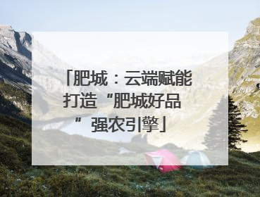 肥城：云端赋能 打造“肥城好品”强农引擎