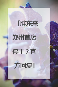胖东来郑州首店停工？官方回复