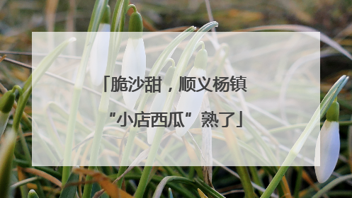 脆沙甜，顺义杨镇“小店西瓜”熟了
