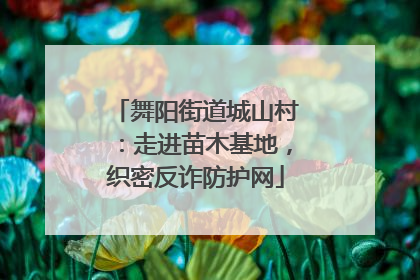 舞阳街道城山村：走进苗木基地，织密反诈防护网