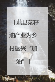 范县菜籽油产业为乡村振兴“加油”