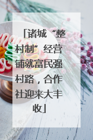 诸城“整村制”经营铺就富民强村路，合作社迎来大丰收