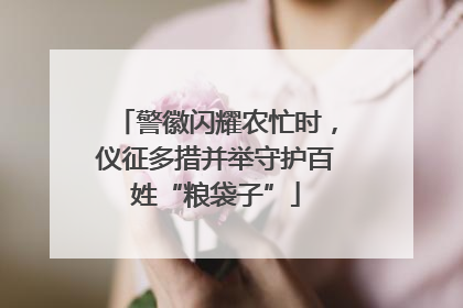 警徽闪耀农忙时，仪征多措并举守护百姓“粮袋子”