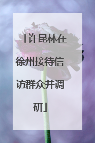 许昆林在徐州接待信访群众并调研
