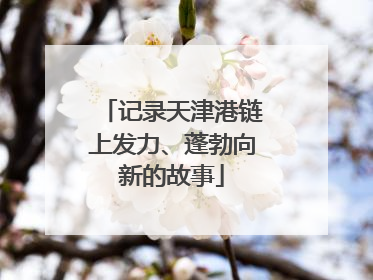 记录天津港链上发力、蓬勃向新的故事