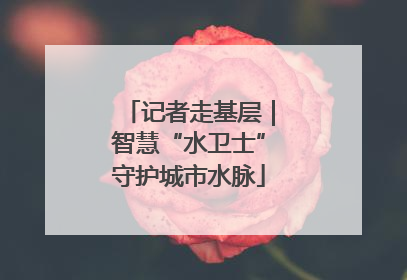 记者走基层｜智慧“水卫士”守护城市水脉