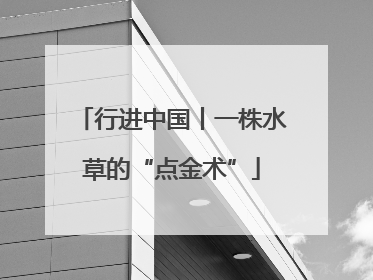 行进中国丨一株水草的“点金术”