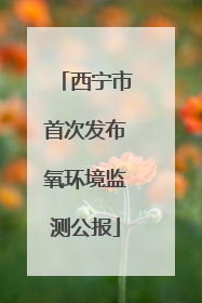 西宁市首次发布氧环境监测公报
