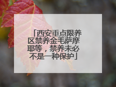 西安重点限养区禁养金毛萨摩耶等，禁养未必不是一种保护
