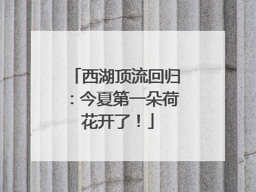 西湖顶流回归：今夏第一朵荷花开了！