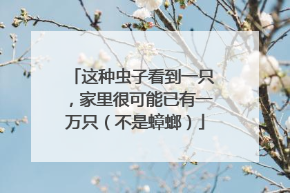 这种虫子看到一只，家里很可能已有一万只（不是蟑螂）