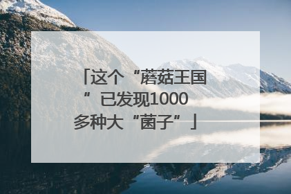 这个“蘑菇王国”已发现1000多种大“菌子”