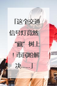 这个交通信号灯竟然“藏”树上！市民盼解决……