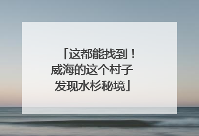 这都能找到！威海的这个村子发现水杉秘境