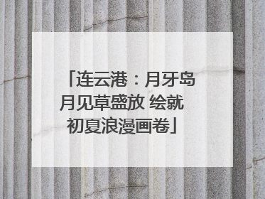 连云港：月牙岛月见草盛放 绘就初夏浪漫画卷