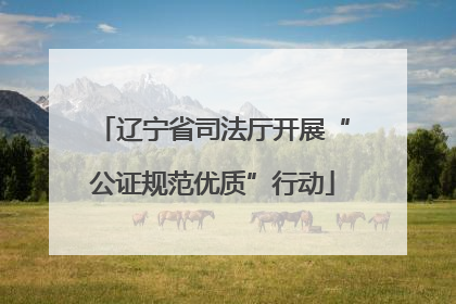 辽宁省司法厅开展“公证规范优质”行动