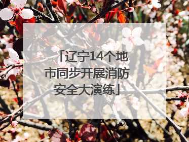 辽宁14个地市同步开展消防安全大演练