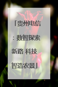 贵州电信：数智探索新路 科技智造农景